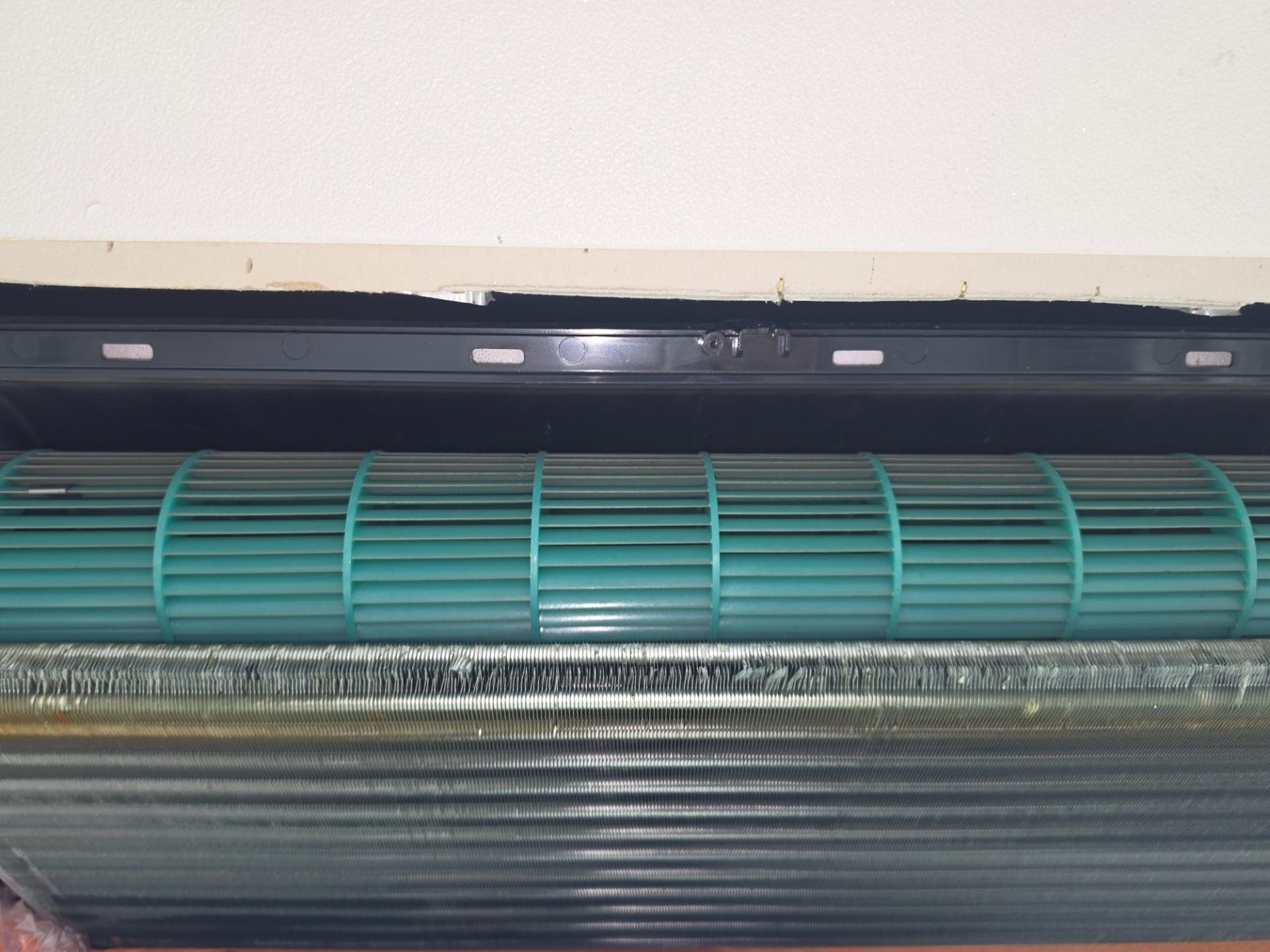 세척 전