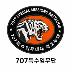 707특수임무단